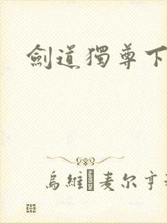 剑道独尊下载
