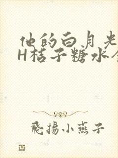 他的白月光HVH桔子糖水全文