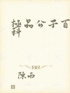 极品公子百度百科