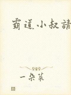 霸道小叔请轻撩