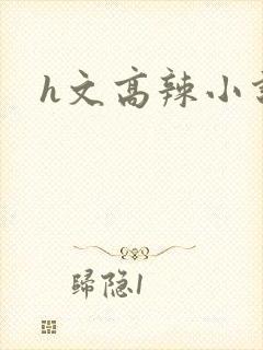h文高辣小说