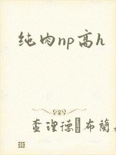纯肉np高h封面