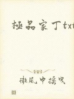 极品家丁txt