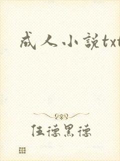 成人小说txt