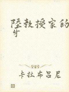 陆教授家的小月牙