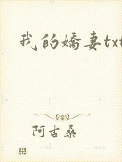我的娇妻txt