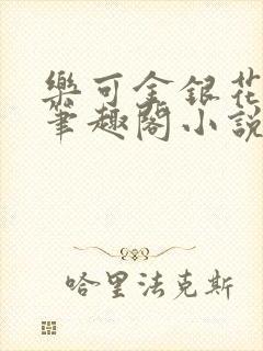 乐可金银花免费笔趣阁小说