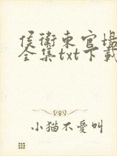 侯卫东官场笔记全集txt下载