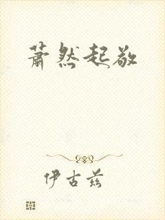 萧然起敬封面
