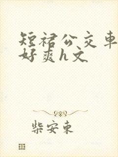 短裙公交车被强好爽h文