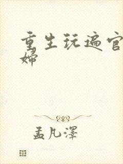 重生玩遍官场贵妇