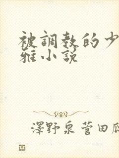 被调教的少妇张雅小说封面