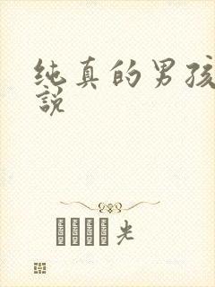 纯真的男孩子小说