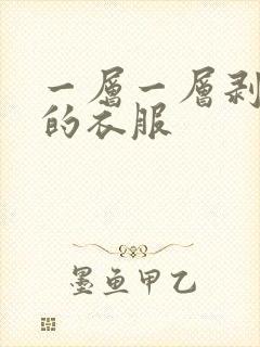 一层一层剥掉你的衣服