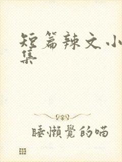 短篇辣文小说合集封面