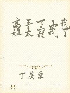 高手下山我家师姐太宠我了全文免费封面