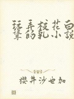 玩弄校花白嫩高耸的乳小说