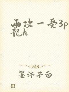 两攻一受3p双龙h