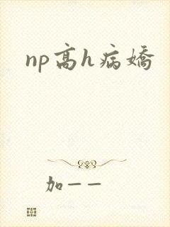 np高h病娇