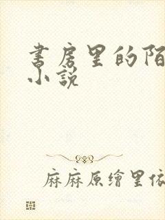 书房里的陌生人小说