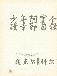 少年阿宾全文阅读章节目录