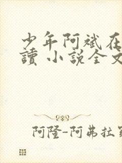 少年阿斌在线阅读 小说全文免费