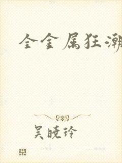 全金属狂潮小说封面