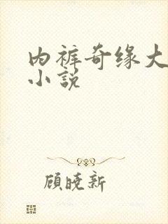 内裤奇缘大团结小说