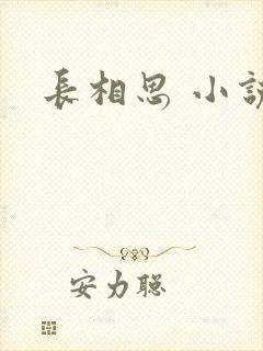 长相思 小说