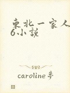 东北一家人1一6小说