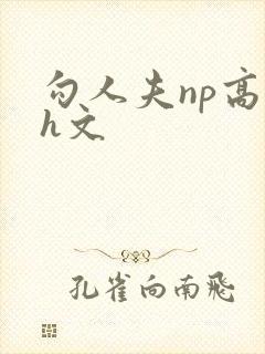 勾人夫np高辣h文