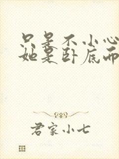 只是不小心发现她是卧底而已