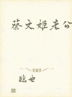 蔡文姬老公封面