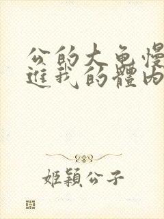 公的大龟慢慢挺进我的体内视频