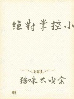 绝对掌控小说