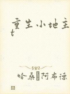 重生小地主txt