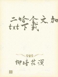 二哈全文加番外txt下载