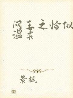 网王之恰似你的温柔封面
