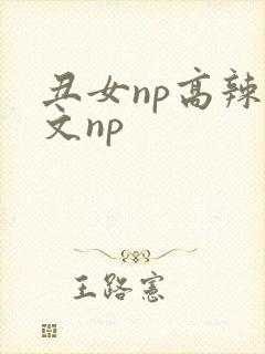 丑女np高辣h文np