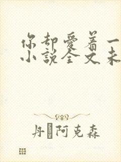 你却爱着一个他小说全文未删减免费