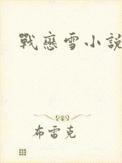 战恋雪小说封面