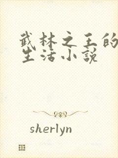 武林之王的退隐生活小说