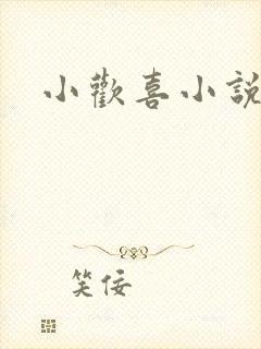小欢喜小说