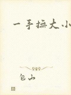 一手抚大小说