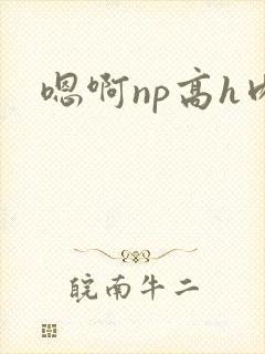 嗯啊np高h肉