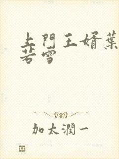 上门王婿叶凡唐若雪