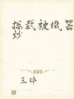 总裁被机器人爆炒封面