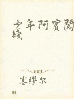 少年阿宾阅读在线封面