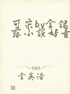 可宋by金银花露小说好看吗