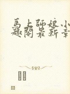 马上师娘小说笔趣阁最新章节封面